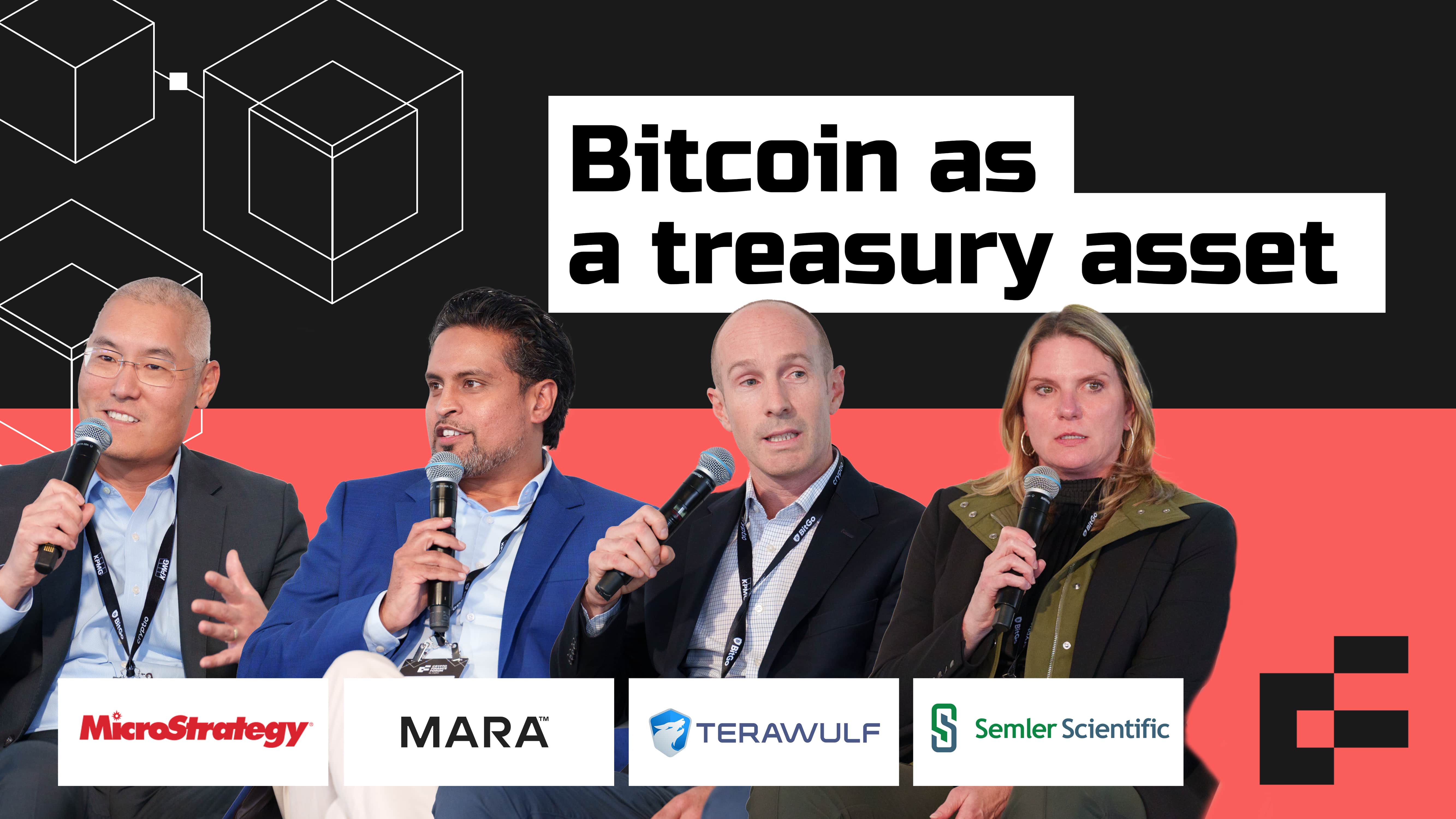 BTC as a Treasury Asset
